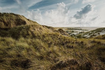 iStock-1199428929-AI-2-1920x1280-72ppi