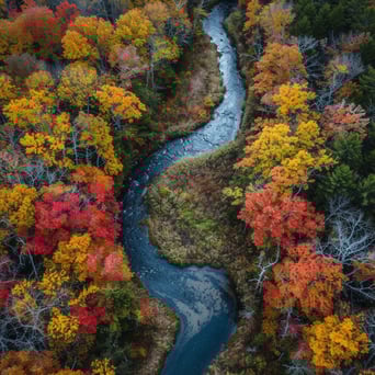 Collaborations across borders