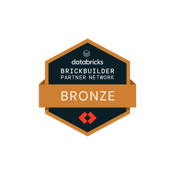 databricks bronze partner