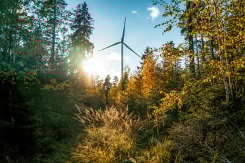 frank-albrecht-7N35r1cqGNs-unsplash