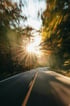 hans-jz7gpyiQEGw-unsplash