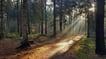 joran-quinten-SMZV5ySpRJg-unsplash
