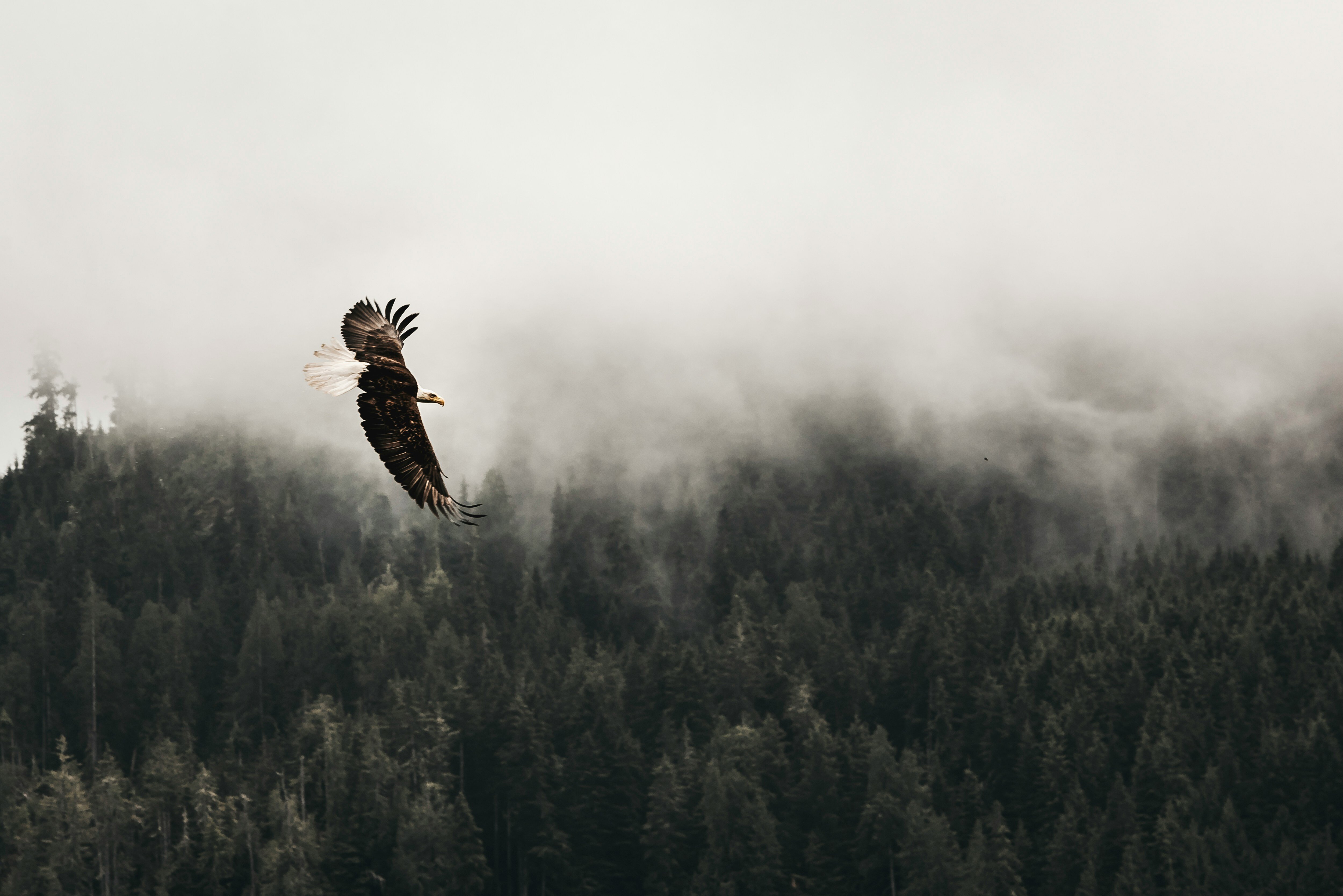 kea-mowat-fM2aOezzEoQ-unsplash