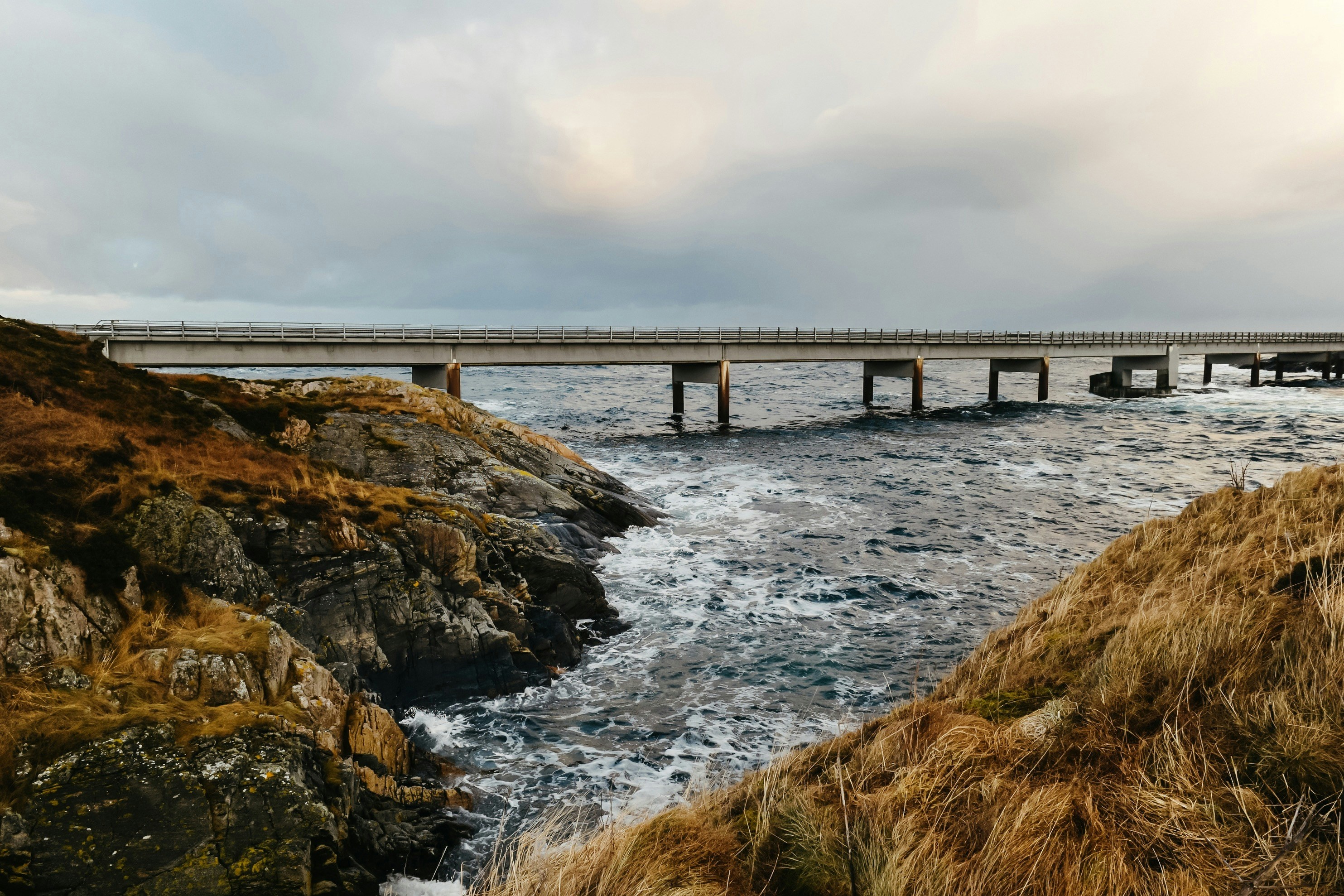 Bridge