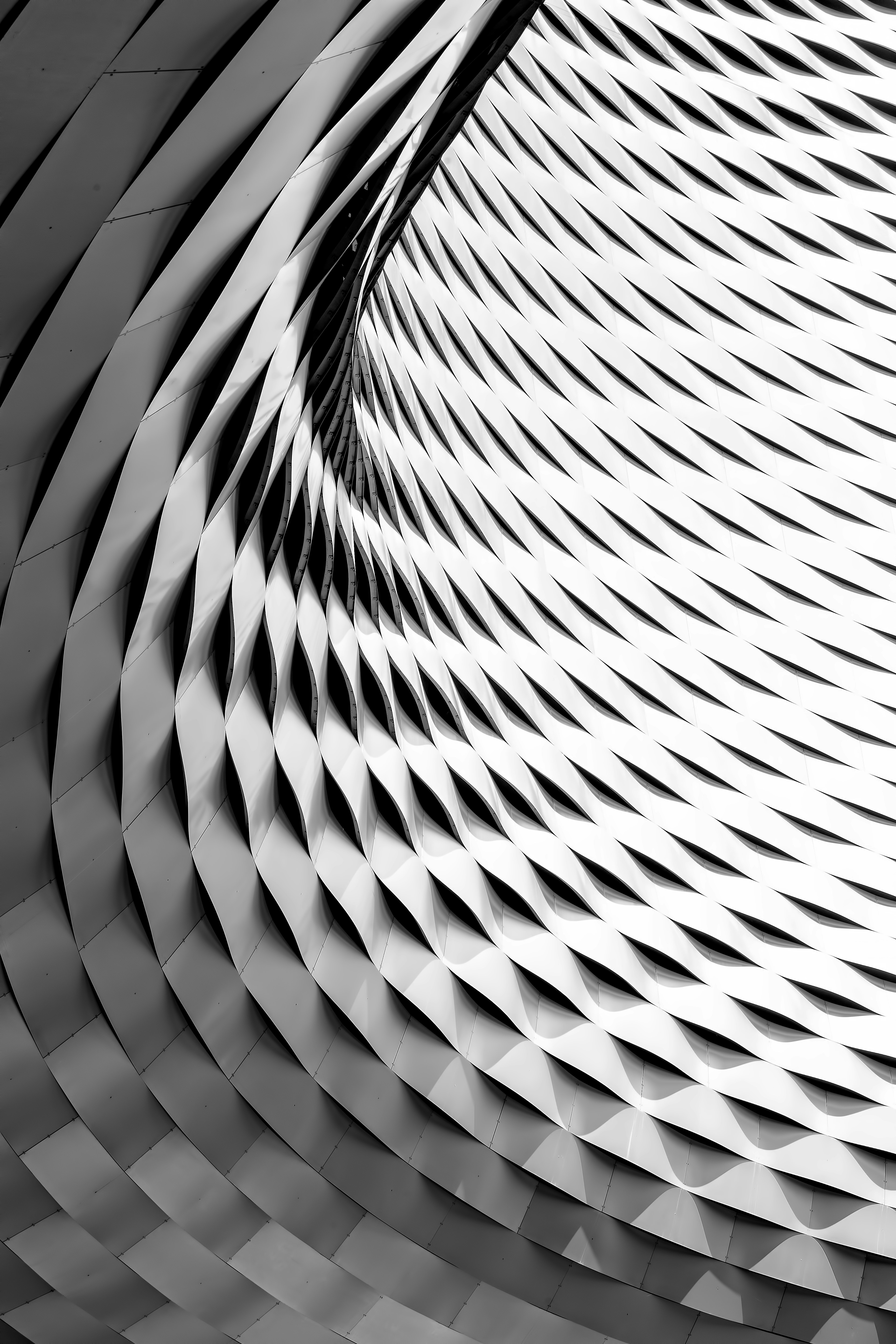 ricardo-gomez-angel-5YM26lUicfU-unsplash